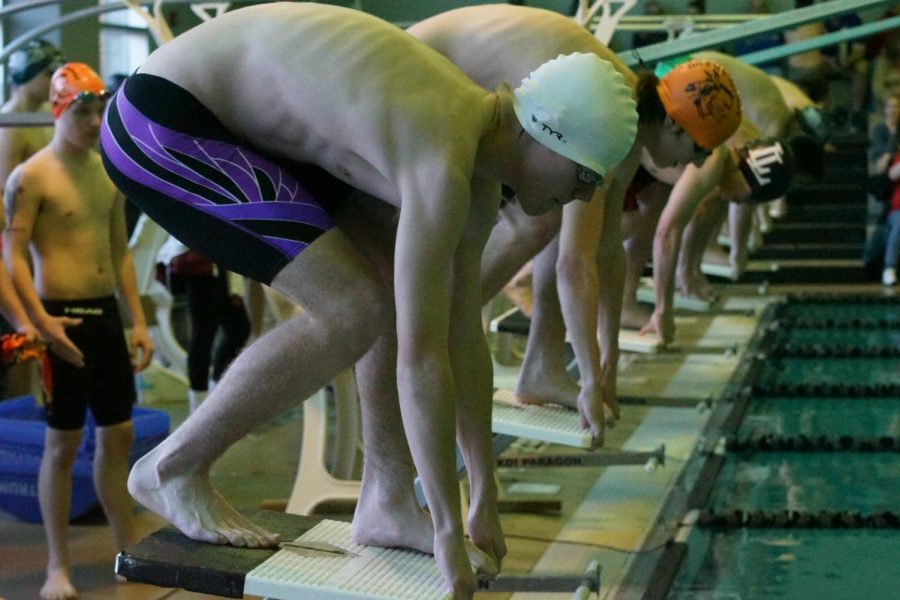 Sophomore Carson Gardner ready to dive off the block on Jan. 8th. 