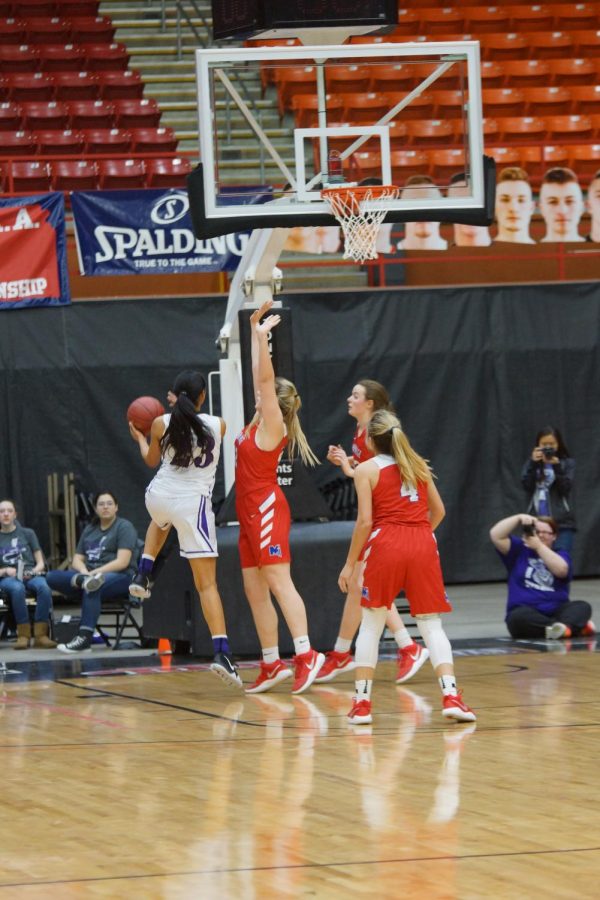 Junior Ryan Cobbins goes up for 2 at game 3 of the state tournament.