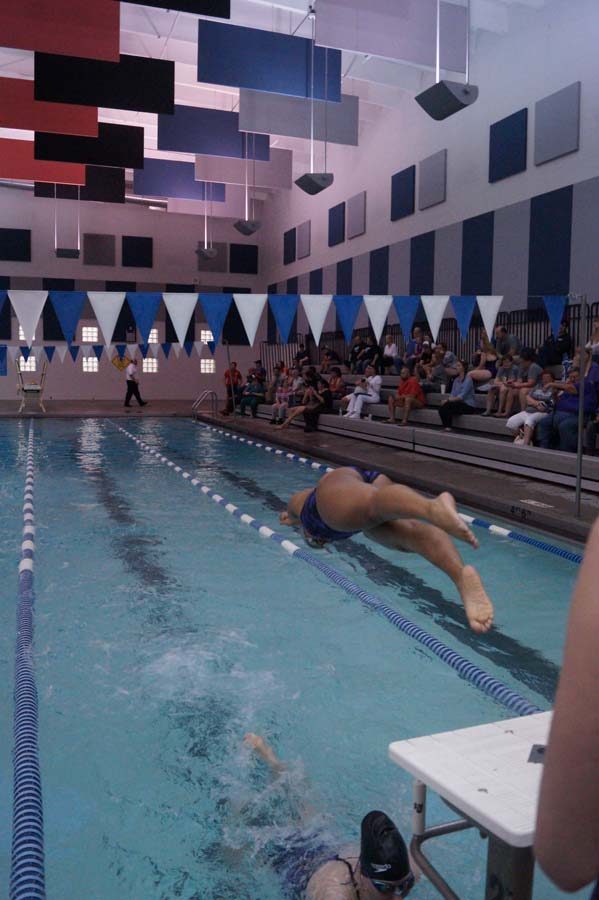 Sophomore Kaylin Miller dives off of the block.