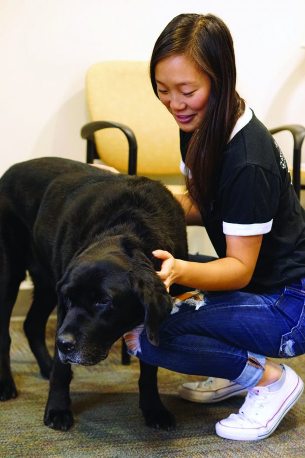 Fala: THE DOG THAT DOES IT ALL
