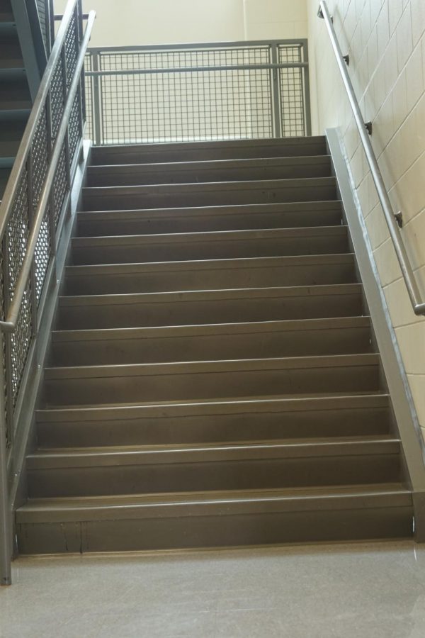 When senior Emma johnson thinks about difficulties with her arthiritis, the stairs are the first thing that come to mind. "Every time I have to walk up the stairs I am reminded of my debilitating disease," she said. "Some days are worse than others, but I always push through it and do my best."