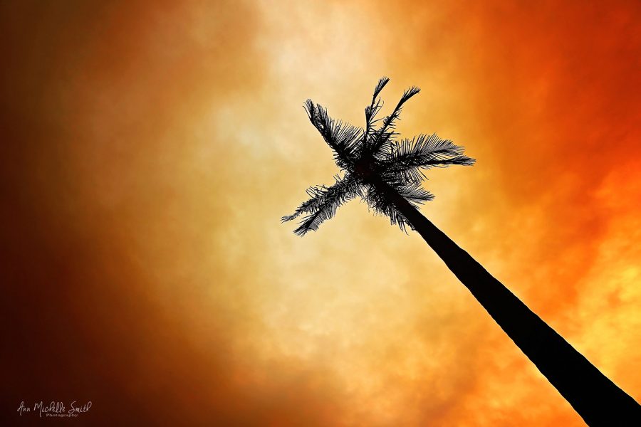 Fires burn in California. The wildfires have burned 820 acres up and down the coast.