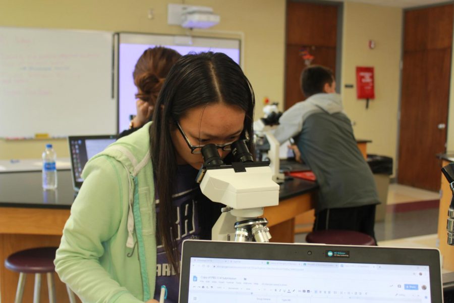 Junior Olivia Hilty participates in a lab in Principles of Biomedical Science, one of the career pathway classes.