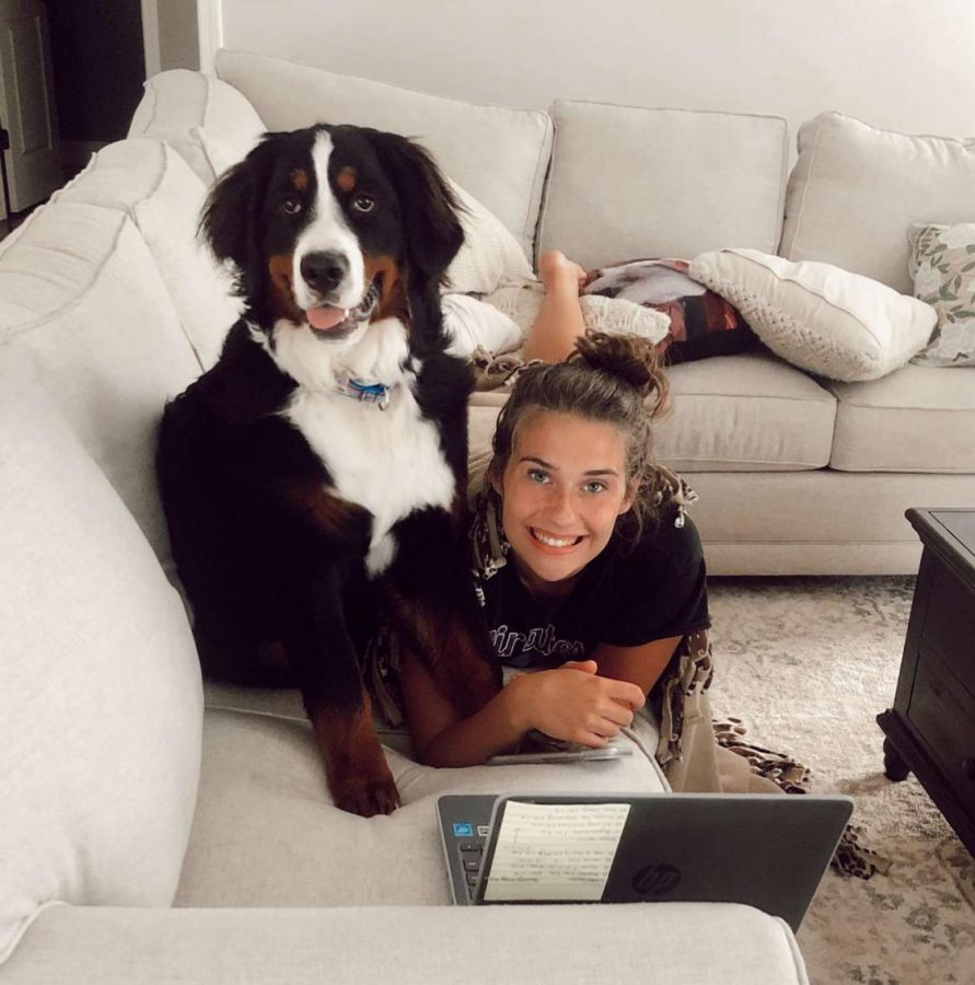Sophomore Addie Williams completes her schoolwork with her dog Oakley by her side.