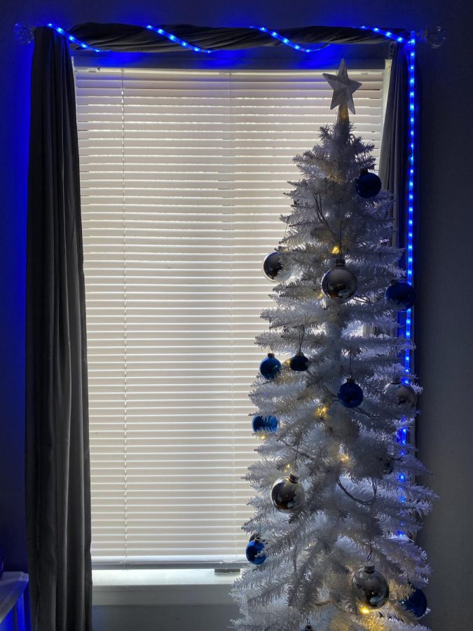 Junior Sydnee Pippert uses blue and white theme to show her spirit Dec. 3. Many would pic red or green traditional colors but she wanted to be different.
photo by Victoria LaRocca
