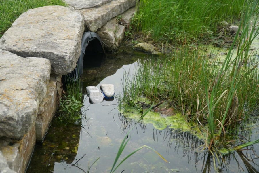 A pair of shoes float on a pond used for fishing in a small neighborhood. Photo by Astin Ramos